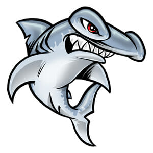 New Jersey Hammerheads' Logo Under Fire For Copyright Violation | Ultiworld